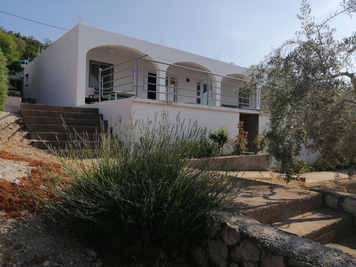 Apartmani Dubravko Putniković Dış mekan fotoğraf